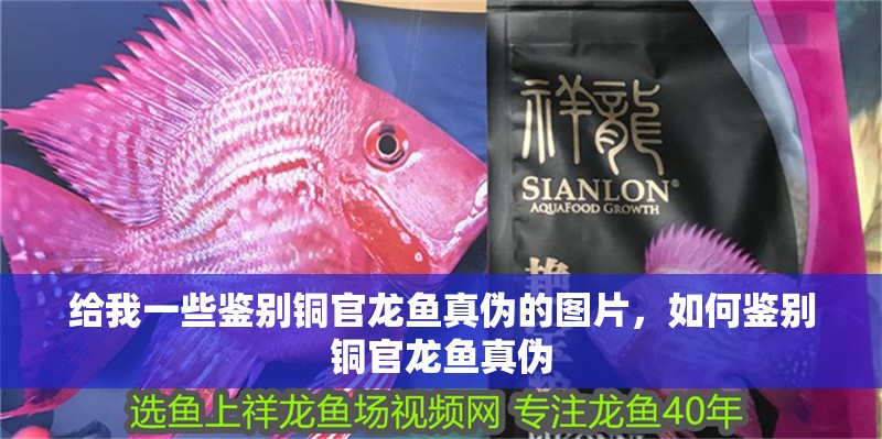 給我一些鑒別銅官龍魚真偽的圖片，如何鑒別銅官龍魚真偽