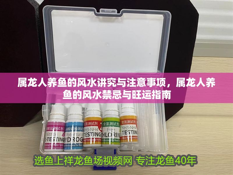 屬龍人養魚的風水講究與注意事項，屬龍人養魚的風水禁忌與旺運指南