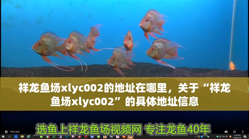給大魚缸換水的作文:體驗給大魚缸換水的樂趣:體驗給大魚缸換水:給大魚缸換水的作文 祥龍魚場xlyc002的地址在哪里,關于“祥龍魚場xlyc002”的具體地址信息 龍魚百科 祥龍魚場xlyc002的地址在哪里,關于“祥龍魚場xlyc002”的具體地址信息 祥龍魚場xlyc002的地址在哪里,關于“祥龍魚場xlyc002”的具體地址信息 龍魚百科