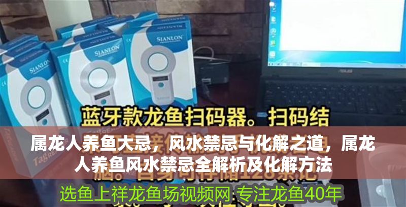 屬龍人養魚大忌，風水禁忌與化解之道，屬龍人養魚風水禁忌全解析及化解方法 屬龍人養魚大忌，風水禁忌與化解之道，屬龍人養魚風水禁忌全解析及化解方法 龍魚百科 第1張