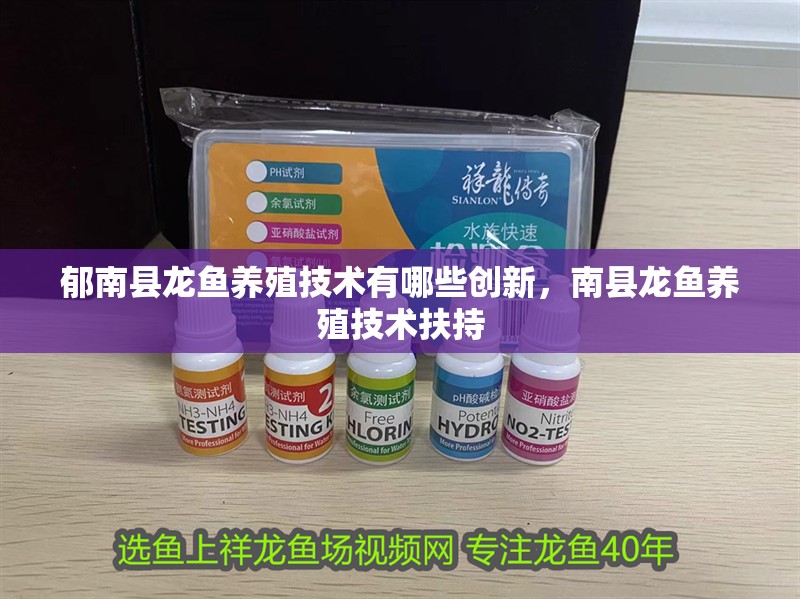 郁南縣龍魚養殖技術有哪些創新，南縣龍魚養殖技術扶持