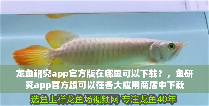 龍魚研究app官方版在哪里可以下載？，魚研究app官方版可以在各大應用商店中下載