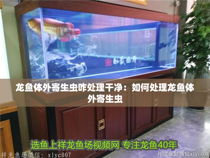 龍魚體外寄生蟲咋處理干凈：如何處理龍魚體外寄生蟲