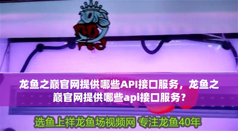 龍魚之巔官網提供哪些API接口服務，龍魚之巔官網提供哪些api接口服務？