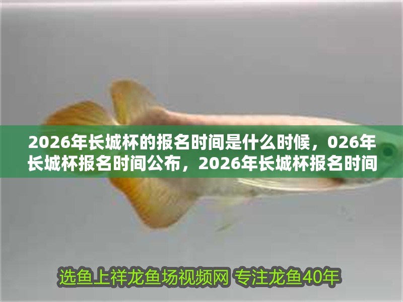 2026年長(zhǎng)城杯的報(bào)名時(shí)間是什么時(shí)候，026年長(zhǎng)城杯報(bào)名時(shí)間公布，2026年長(zhǎng)城杯報(bào)名時(shí)間已明確