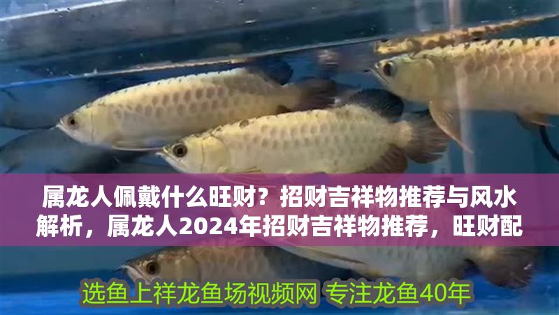 屬龍人佩戴什么旺財？招財吉祥物推薦與風水解析，屬龍人2024年招財吉祥物推薦，旺財配飾與風水布局全解析