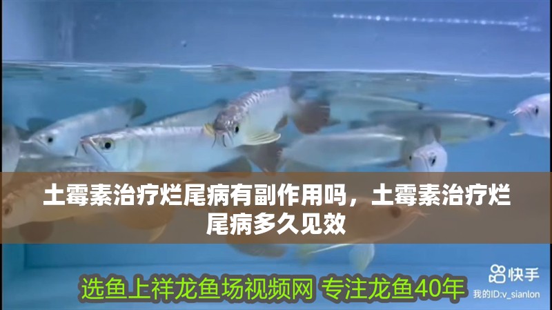 土霉素治療爛尾病有副作用嗎，土霉素治療爛尾病多久見效 土霉素治療爛尾病有副作用嗎，土霉素治療爛尾病多久見效 龍魚百科