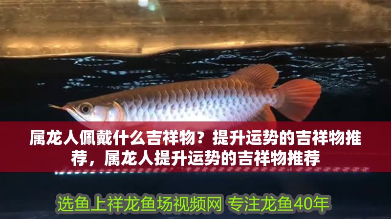 屬龍人佩戴什么吉祥物？提升運(yùn)勢(shì)的吉祥物推薦，屬龍人提升運(yùn)勢(shì)的吉祥物推薦