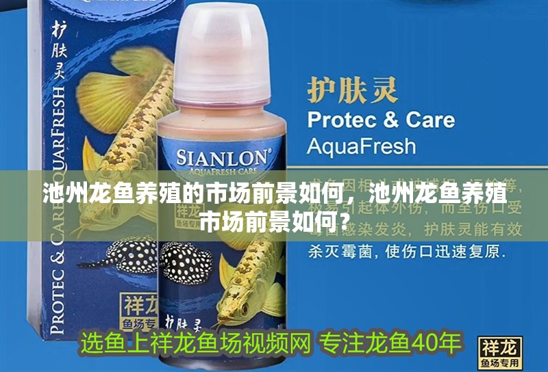 <strong><mark>池州</mark></strong>龍魚養殖的市場前景如何，<strong><mark>池州</mark></strong>龍魚養殖市場前景如何？