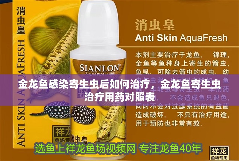 金龍魚感染寄生蟲后如何治療，金龍魚寄生蟲治療用藥對照表