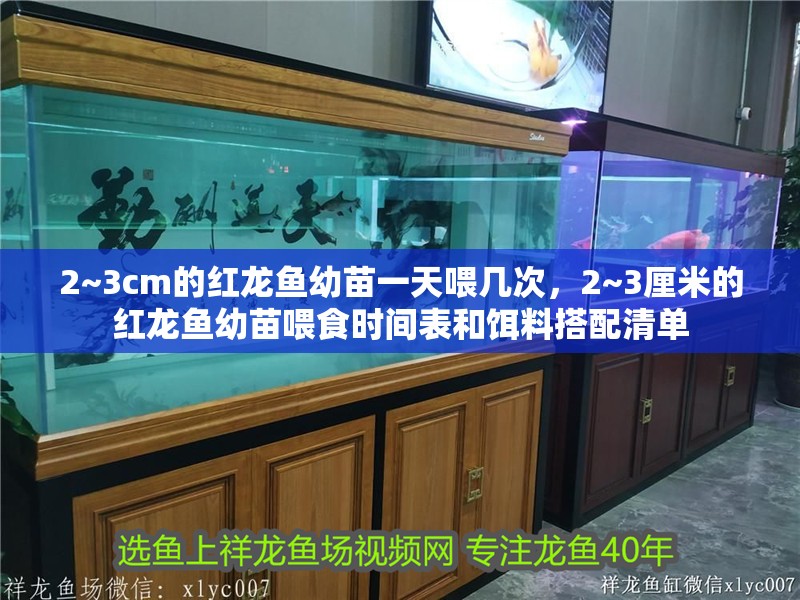 2~3cm的紅龍魚幼苗一天喂幾次，2~3厘米的紅龍魚幼苗喂食時間表和餌料搭配清單