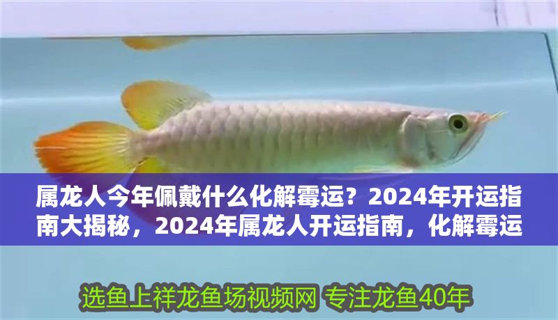 屬龍人今年佩戴什么化解霉運？2024年開運指南大揭秘，2024年屬龍人開運指南，化解霉運必備佩戴飾品大揭秘