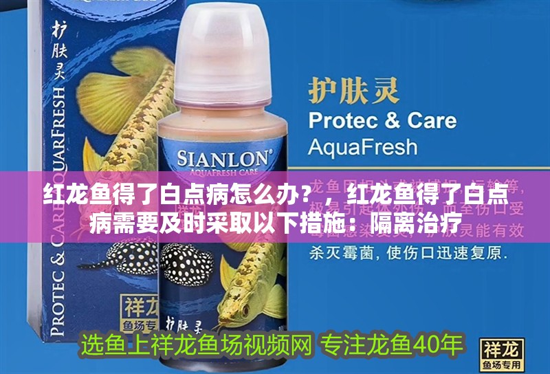 紅龍魚得了白點(diǎn)病怎么辦？，紅龍魚得了白點(diǎn)病需要及時采取以下措施：隔離治療