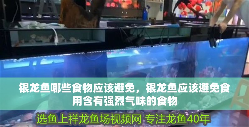 銀龍魚哪些食物應該避免，銀龍魚應該避免食用含有強烈氣味的食物 銀龍魚哪些食物應該避免，銀龍魚應該避免食用含有強烈氣味的食物 龍魚百科