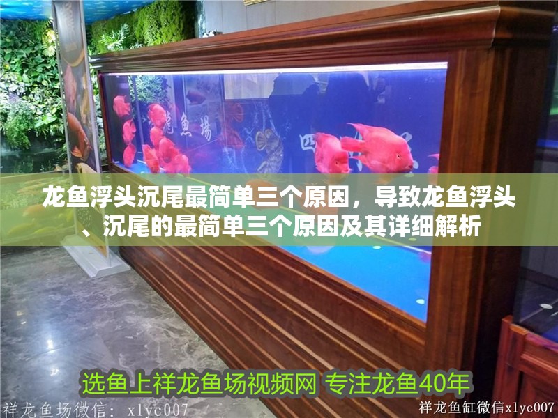 龍魚浮頭沉尾最簡(jiǎn)單三個(gè)原因，導(dǎo)致龍魚浮頭、沉尾的最簡(jiǎn)單三個(gè)原因及其詳細(xì)解析