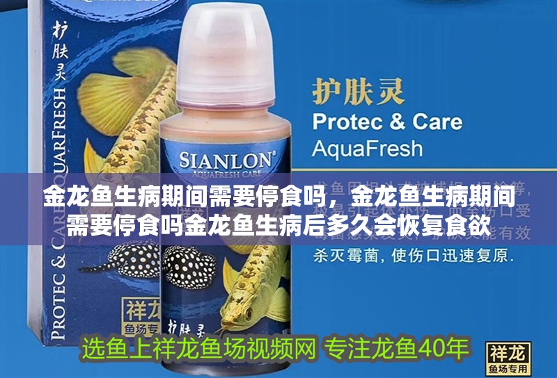 金龍魚生病期間需要停食嗎，金龍魚生病期間需要停食嗎金龍魚生病后多久會恢復食欲
