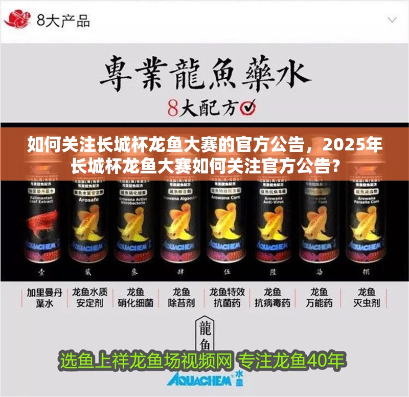 如何關(guān)注長城杯龍魚大賽的官方公告，2025年長城杯龍魚大賽如何關(guān)注官方公告？