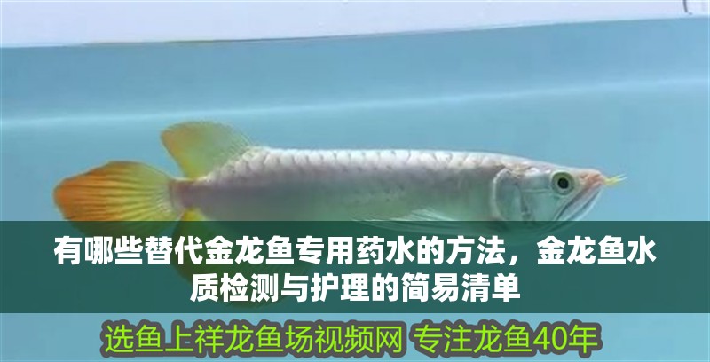 有哪些替代金龍魚專用藥水的方法，金龍魚水質(zhì)檢測(cè)與護(hù)理的簡易清單