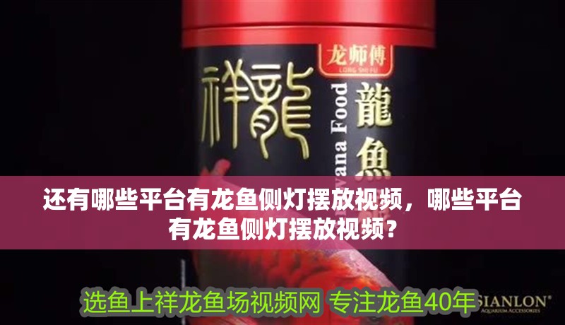 還有哪些平臺有龍魚側燈擺放視頻，哪些平臺有龍魚側燈擺放視頻？