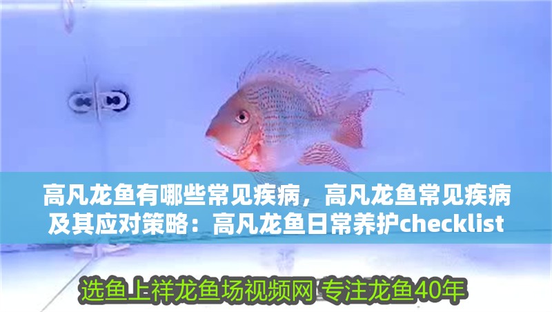 高凡龍魚有哪些常見疾病，高凡龍魚常見疾病及其應對策略：高凡龍魚日常養護checklist 高凡龍魚有哪些常見疾病，高凡龍魚常見疾病及其應對策略：高凡龍魚日常養護checklist 龍魚百科