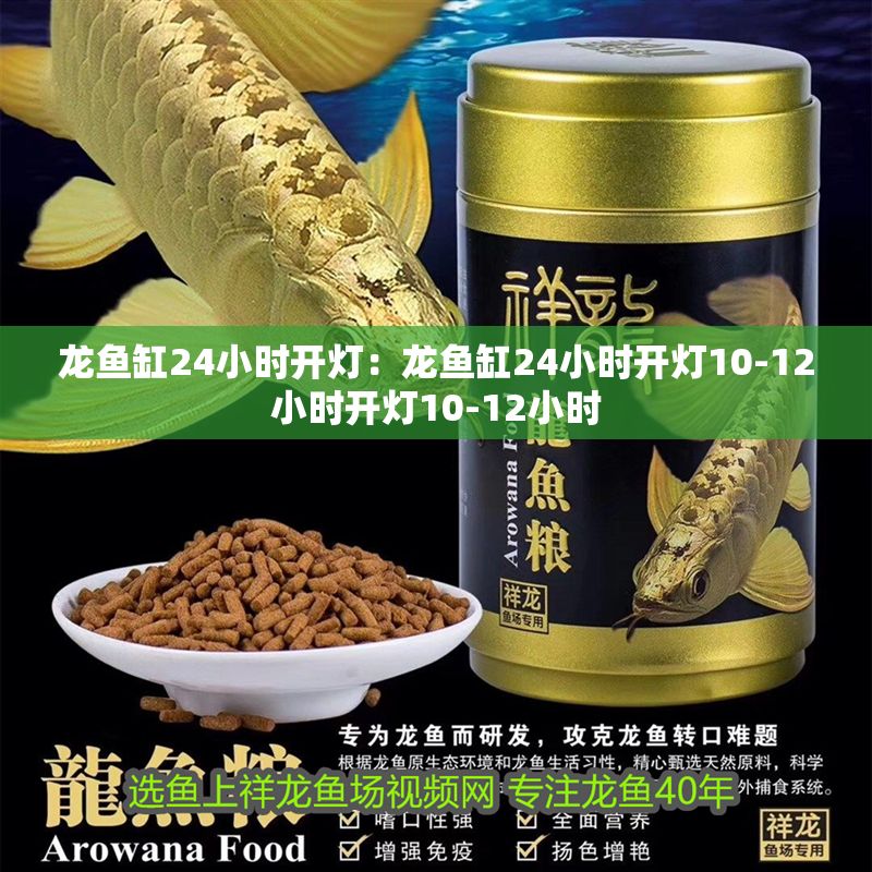 龍魚缸24小時開燈：龍魚缸24小時開燈10-12小時開燈10-12小時