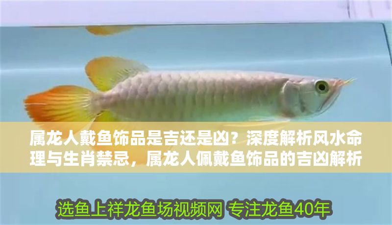 屬龍人戴魚飾品是吉還是兇？深度解析風(fēng)水命理與生肖禁忌，屬龍人佩戴魚飾品的吉兇解析，風(fēng)水命理與生肖禁忌全揭秘