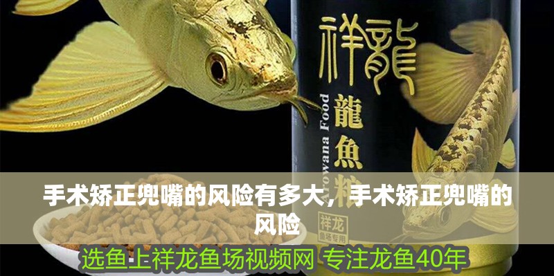 魚缸用增氧泵價格是多少:魚缸增氧機-xtrac增氧機-xtrac增氧機 手術矯正兜嘴的風險有多大,手術矯正兜嘴的風險 龍魚百科 手術矯正兜嘴的風險有多大,手術矯正兜嘴的風險 手術矯正兜嘴的風險有多大,手術矯正兜嘴的風險 龍魚百科