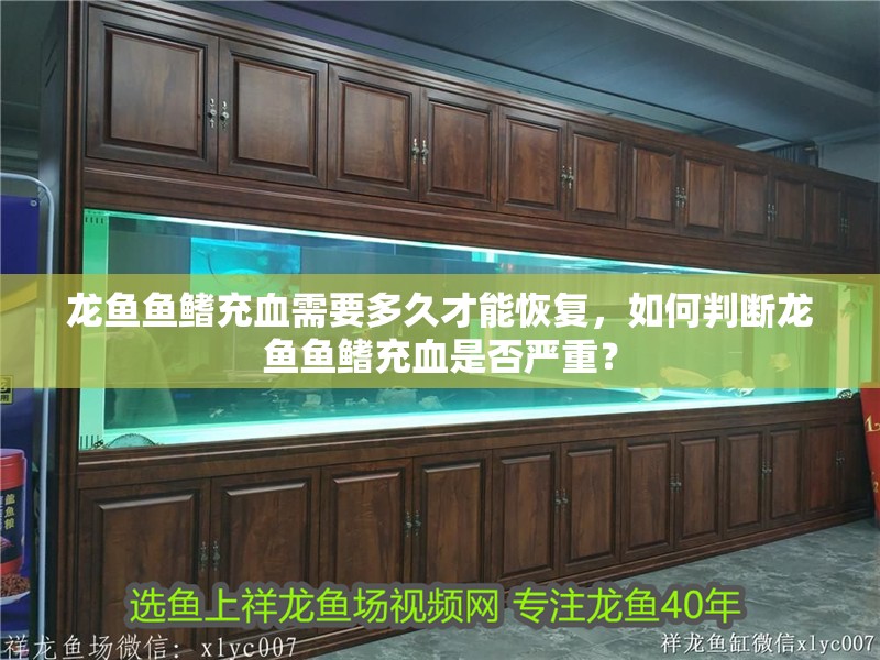 龍魚魚鰭充血需要多久才能恢復，如何判斷龍魚魚鰭充血是否嚴重？