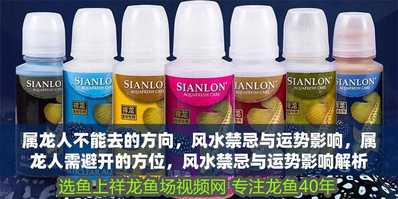 屬龍人不能去的方向，風水禁忌與運勢影響，屬龍人需避開的方位，風水禁忌與運勢影響解析