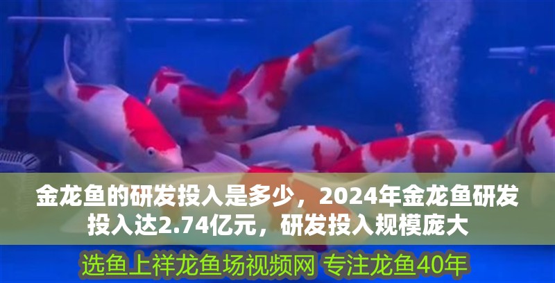 金龍魚的研發投入是多少，2024年金龍魚研發投入達2.74億元，研發投入規模龐大