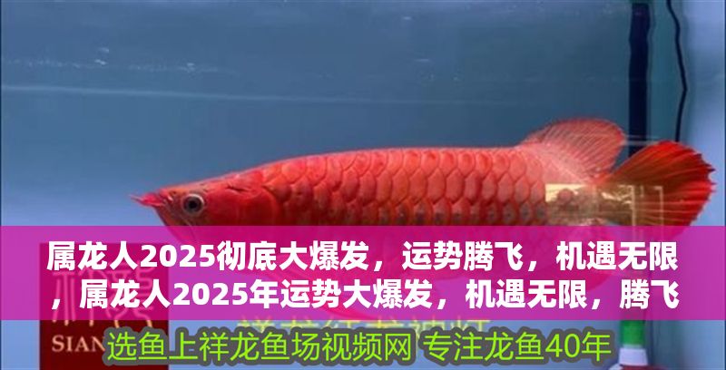 屬龍人2025徹底大爆發(fā)，運(yùn)勢騰飛，機(jī)遇無限，屬龍人2025年運(yùn)勢大爆發(fā)，機(jī)遇無限，騰飛在即！