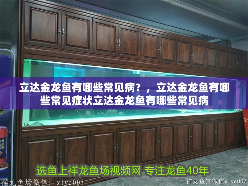 立達金龍魚有哪些常見病？，立達金龍魚有哪些常見癥狀立達金龍魚有哪些常見病