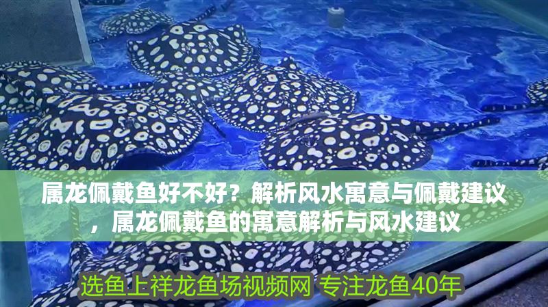 屬龍佩戴魚好不好？解析風水寓意與佩戴建議，屬龍佩戴魚的寓意解析與風水建議 屬龍佩戴魚好不好？解析風水寓意與佩戴建議，屬龍佩戴魚的寓意解析與風水建議 龍魚百科 第1張