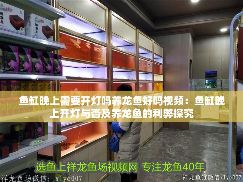 魚缸晚上需要開燈嗎養龍魚好嗎視頻：魚缸晚上開燈與否及養龍魚的利弊探究