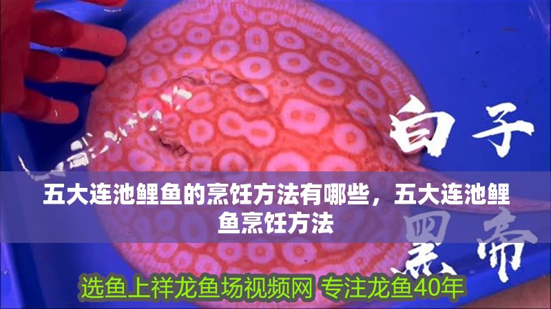 五大連池鯉魚的烹飪方法有哪些，五大連池鯉魚烹飪方法