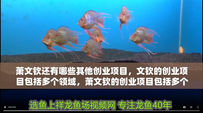 蕭文欽還有哪些其他創業項目，文欽的創業項目包括多個領域，蕭文欽的創業項目包括多個領域