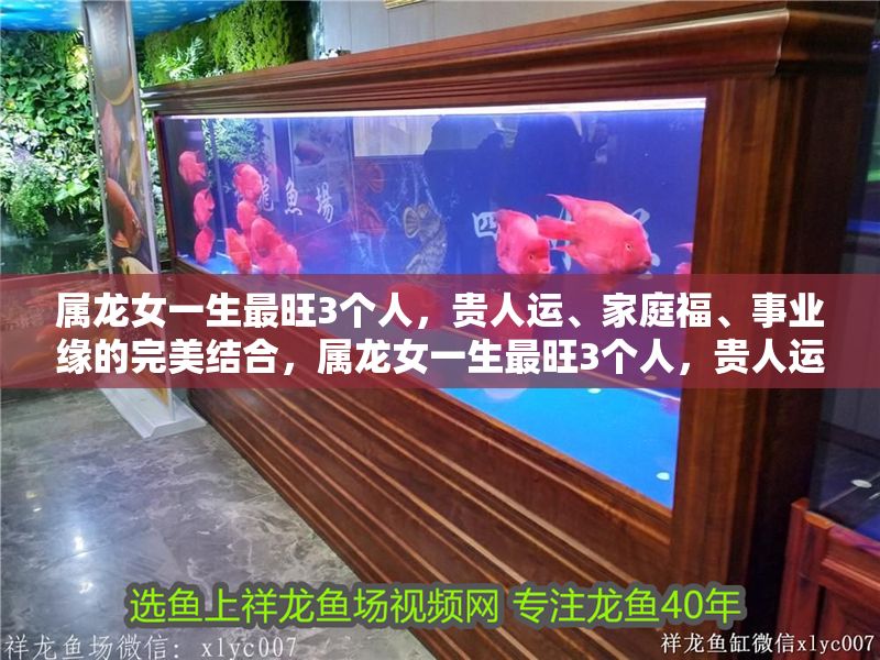 屬龍女一生最旺3個人，貴人運、家庭福、事業緣的完美結合，屬龍女一生最旺3個人，貴人運、家庭福、事業緣的完美結合 屬龍女一生最旺3個人，貴人運、家庭福、事業緣的完美結合，屬龍女一生最旺3個人，貴人運、家庭福、事業緣的完美結合 龍魚百科 第1張