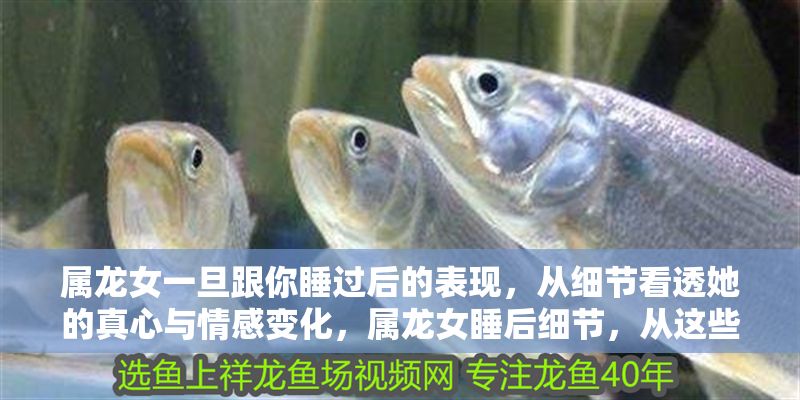 屬龍女一旦跟你睡過后的表現(xiàn)，從細節(jié)看透她的真心與情感變化，屬龍女睡后細節(jié)，從這些表現(xiàn)看穿她的真心與情感變化