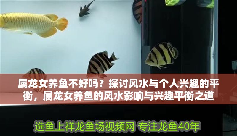 屬龍女養(yǎng)魚(yú)不好嗎?探討風(fēng)水與個(gè)人興趣的平衡,屬龍女養(yǎng)魚(yú)的風(fēng)水影響與興趣平衡之道 龍魚(yú)百科 第1張 屬龍女養(yǎng)魚(yú)不好嗎?探討風(fēng)水與個(gè)人興趣的平衡,屬龍女養(yǎng)魚(yú)的風(fēng)水影響與興趣平衡之道 屬龍女養(yǎng)魚(yú)不好嗎?探討風(fēng)水與個(gè)人興趣的平衡,屬龍女養(yǎng)魚(yú)的風(fēng)水影響與興趣平衡之道 龍魚(yú)百科 第1張