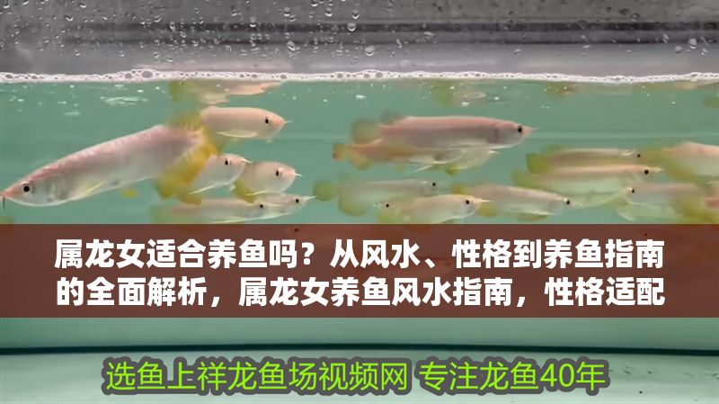 屬龍女適合養(yǎng)魚嗎？從風水、性格到養(yǎng)魚指南的全面解析，屬龍女養(yǎng)魚風水指南，性格適配與養(yǎng)魚全攻略 屬龍女適合養(yǎng)魚嗎？從風水、性格到養(yǎng)魚指南的全面解析，屬龍女養(yǎng)魚風水指南，性格適配與養(yǎng)魚全攻略 龍魚百科 第1張
