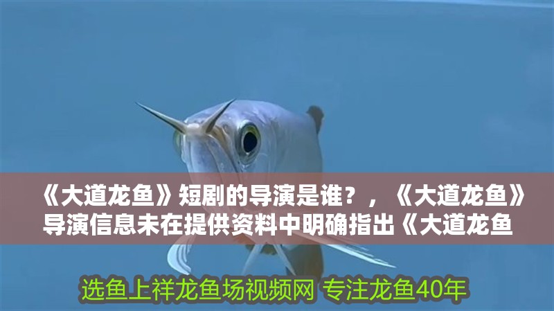 《大道龍魚》短劇的導演是誰？，《大道龍魚》導演信息未在提供資料中明確指出《大道龍魚》