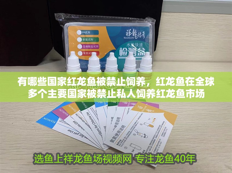 有哪些國家紅龍魚被禁止飼養，紅龍魚在全球多個主要國家被禁止私人飼養紅龍魚市場