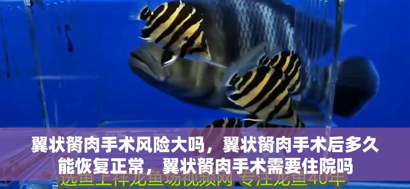 翼狀胬肉手術風險大嗎，翼狀胬肉手術后多久能恢復正常，翼狀胬肉手術需要住院嗎