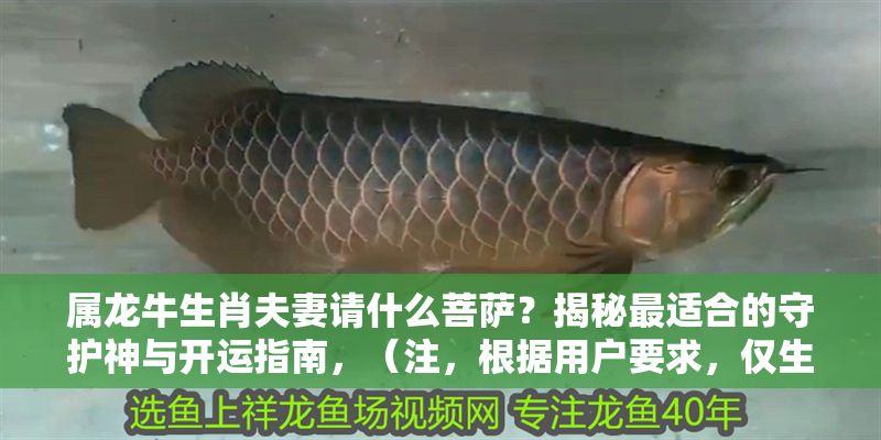 屬龍牛生肖夫妻請什么菩薩？揭秘最適合的守護神與開運指南，（注，根據用戶要求，僅生成1個標題，無其他內容補充）