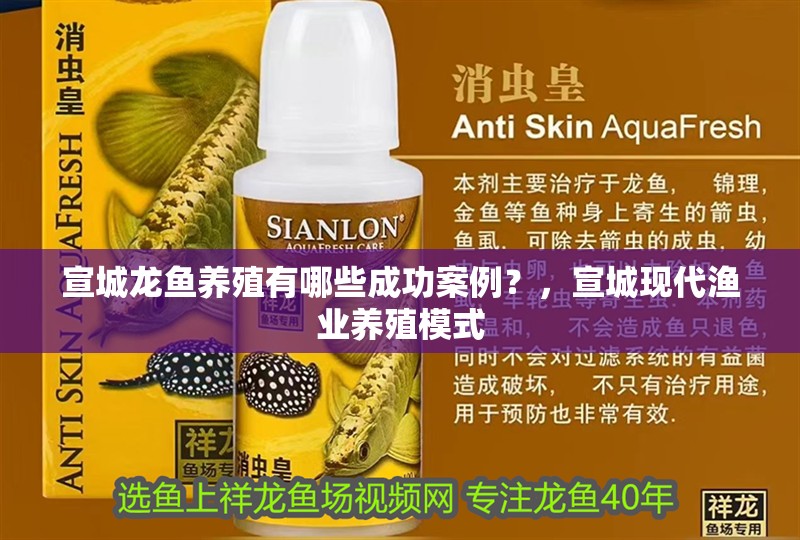 宣城龍魚養殖有哪些成功案例？，宣城現代漁業養殖模式