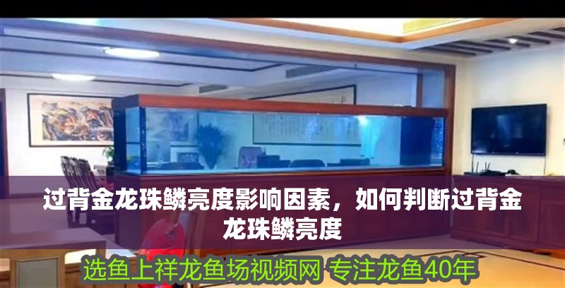 過背金龍珠鱗亮度影響因素，如何判斷過背金龍珠鱗亮度