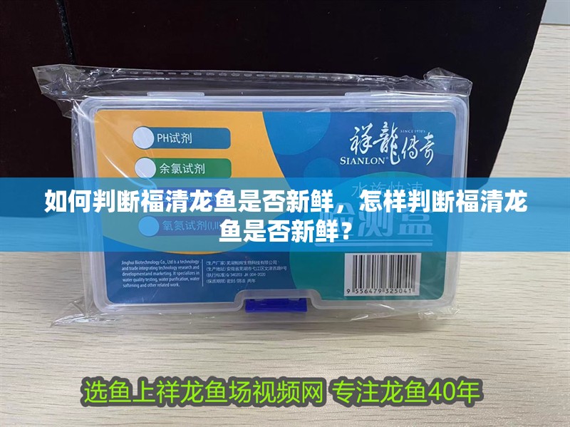 如何判斷福清龍魚是否新鮮，怎樣判斷福清龍魚是否新鮮？