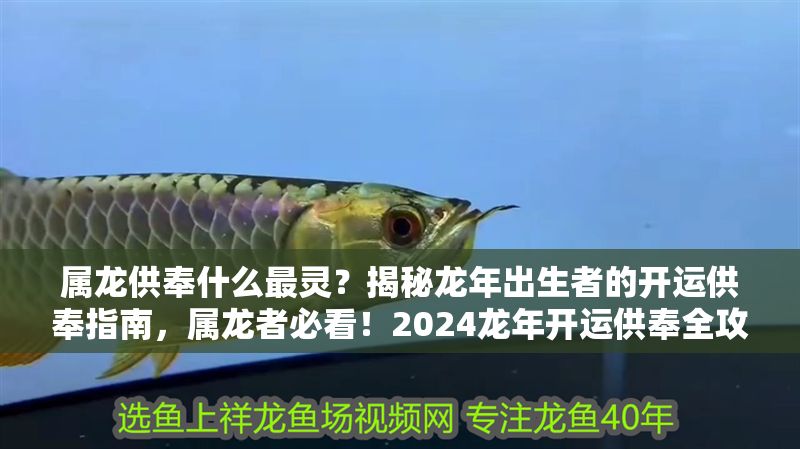 屬龍供奉什么最靈？揭秘龍年出生者的開運供奉指南，屬龍者必看！2024龍年開運供奉全攻略，招財納福最靈驗