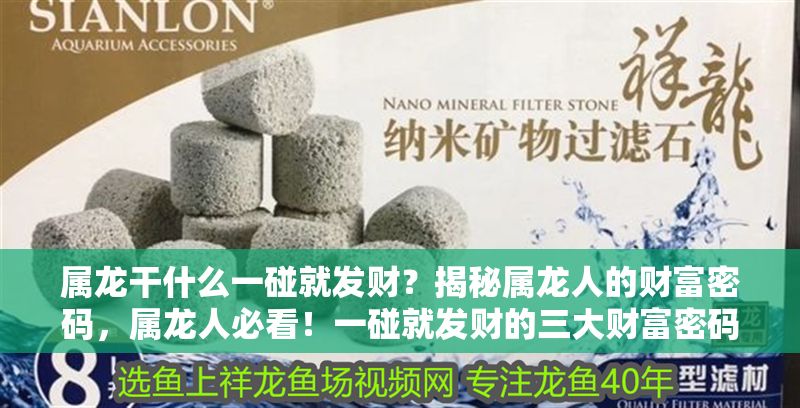 屬龍干什么一碰就發財？揭秘屬龍人的財富密碼，屬龍人必看！一碰就發財的三大財富密碼大揭秘