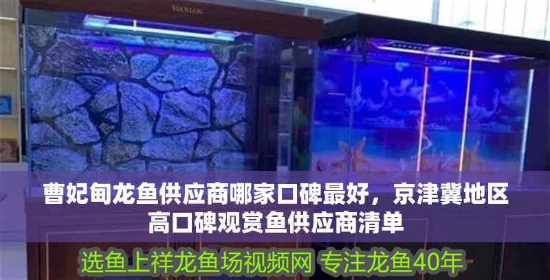 曹妃甸龍魚供應商哪家口碑最好，京津冀地區高口碑觀賞魚供應商清單